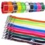 Colección de collares de sujeción para perros en múltiples colores vibrantes, fabricados en material impermeable y resistente