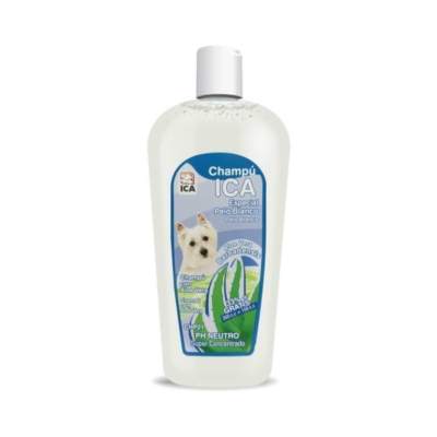 Champú ICA para perros de pelo blanco con Aloe Vera