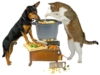 Perro y gato cocinando juntos, el gato remueve una olla gris con cuchara de madera, el perro observa los ingredientes. Verduras picadas en tabla de cortar.