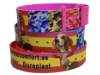 Collar DuraPlast personalizado