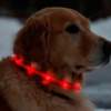 Collar luminoso led de silicona para perros - Imagen 4