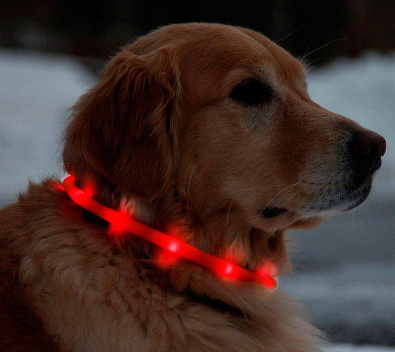 collar luminoso led de silicona para perros
