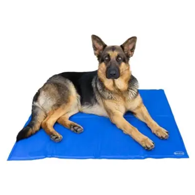 Alfombra refrescante para perros con gel auto-refrigerante