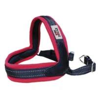 Arnés para perro xt-dog Boomerang