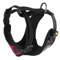 Arnés para perro XT-DOG Sport.