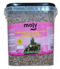 Bote de plástico transparente con 500g de alimento natural Moly Gammarus para tortugas acuáticas