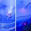 Humidificador generador de niebla para terrarios con luces LED - Imagen 2