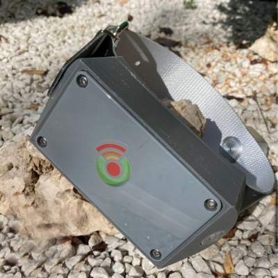 Localizador GPS para ganadería y fauna salvaje Domodis