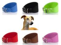 Collar para Galgos personalizado Whippet