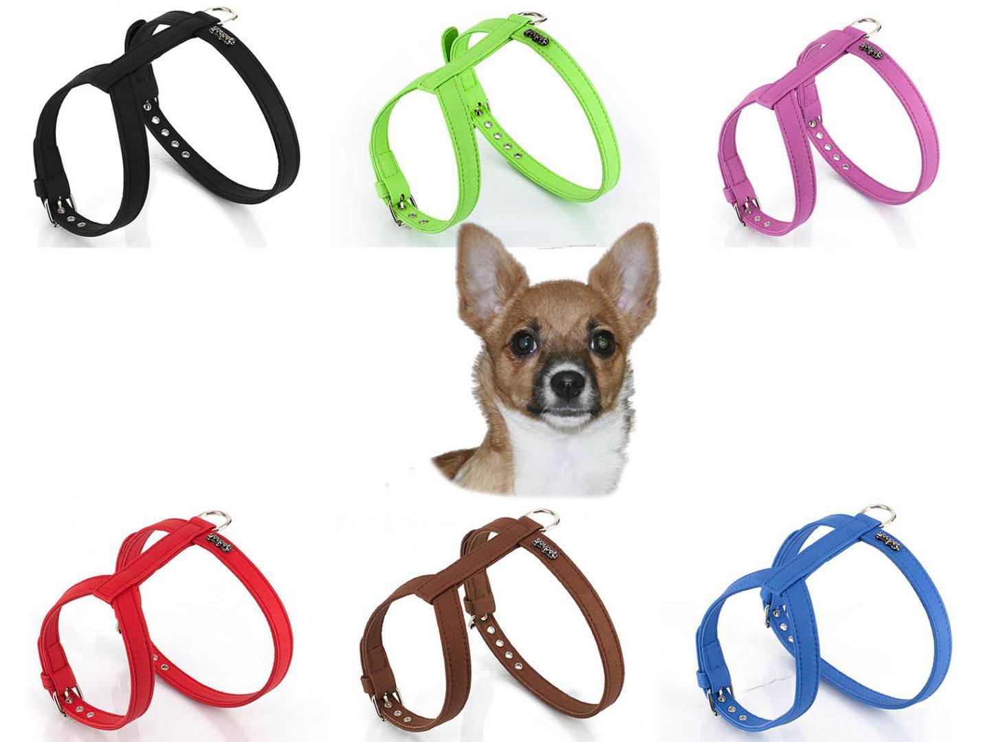 Arnés personalizado para perros suave y confortable - AnimalComfort