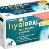 Hyaloral para perros de raza mediana y pequeña.