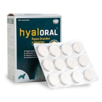 Caja de Hyaloral para perros de razas grandes y gigantes junto a un blíster de comprimidos blancos