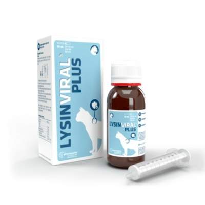 Lysinviral para gatos