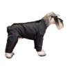chubasquero impermeable perro 2