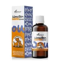 Frasco de cristal y caja de Wowzen Gastrowow, suplemento digestivo natural para perros y gatos en formato líquido