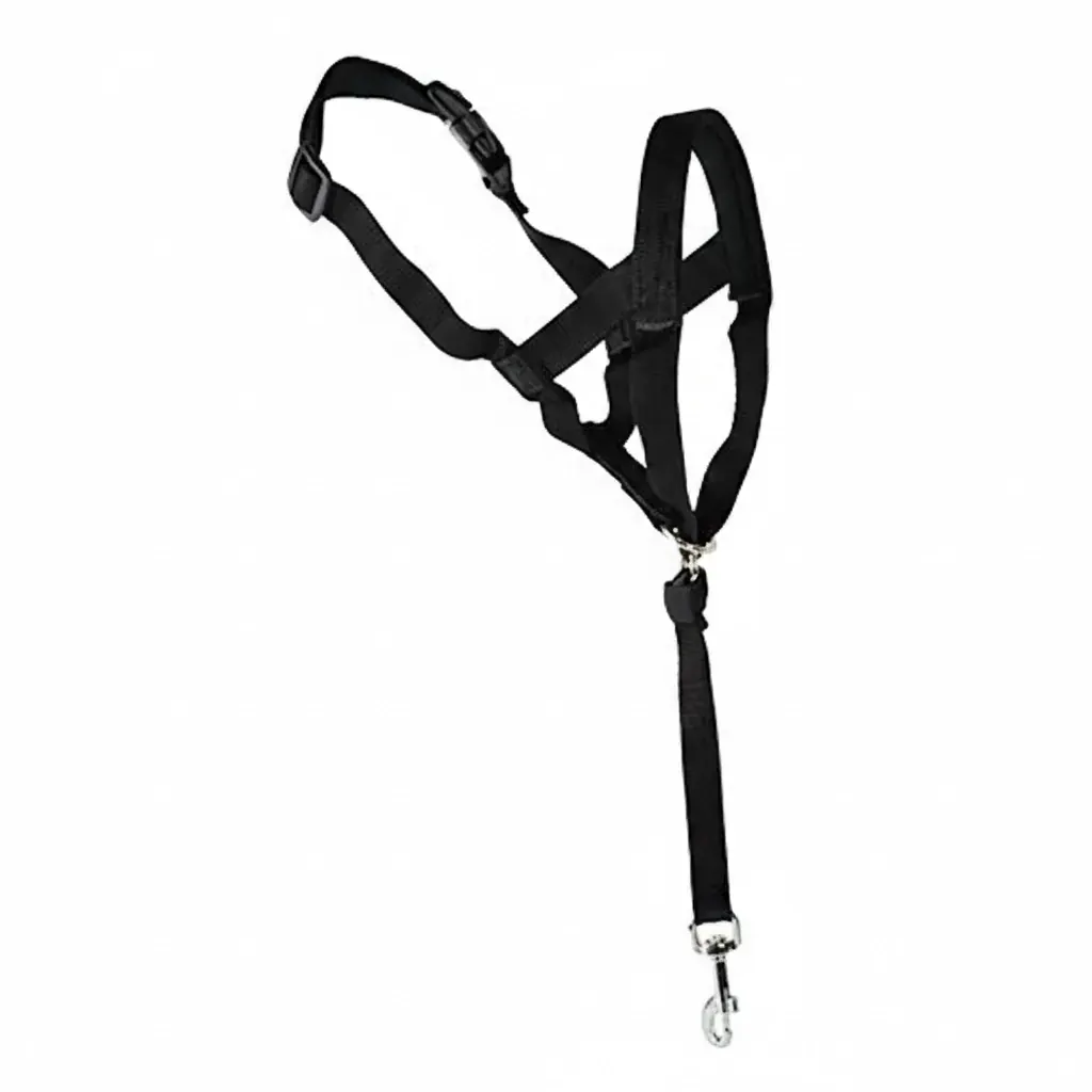 Bozal ajustable y guiador de Setterbakio Bozal ajustable y guiador de Setterbakio