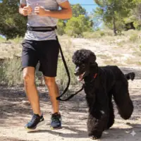 Correa running manos libres Correa running manos libres