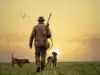 Cazador con sus perros de rehala al atardecer, ideal para equipamiento de caza y rastro resistente (IA)